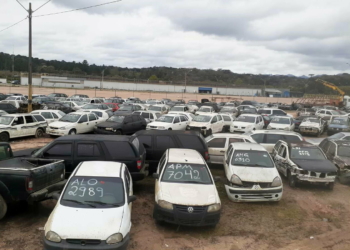 Paraná divulga novo leilão com mais de 300 veículos