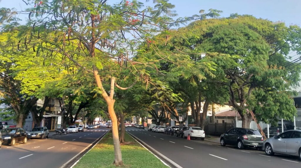 30 GRAUS: Tempo nublado e muito quente em Maringá nesta sexta-feira