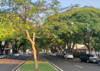 30 GRAUS: Tempo nublado e muito quente em Maringá nesta sexta-feira