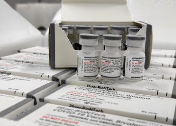 Chegam ao Paraná as primeiras doses de vacina bivalente contra a Covid-19