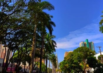 foto - José Carlos Leonel - Avenida Getúlio Vargas - 38 graus na tarde desta sexta-feira, 21