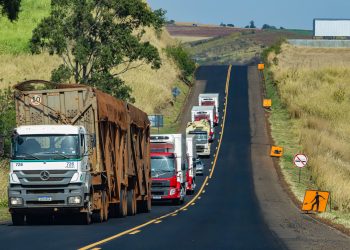 Bandeirantes, 01 de setembro de 2023 - BR 369, entre Jacarezinho e Cornélio Procópio.