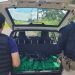 PRF e Receita Federal apreendem veículo carregado com maconha em Maringá. FOTO - PRF/PR