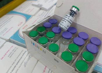 Em menos de 24 horas, vacinas da dengue chegam às regionais de saúde - 17ª Regional de Saúde de Londrina