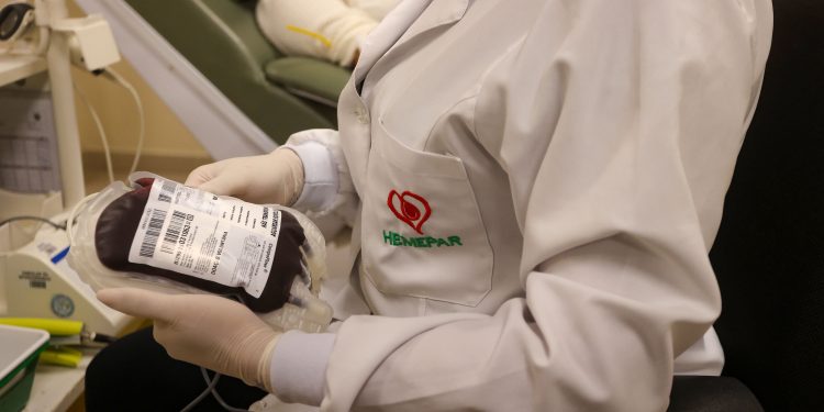 Hemepar, doação de sangue
Foto Gilson Abreu