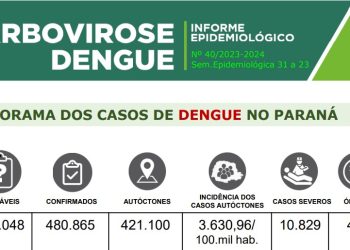 informe dengue - 11/06/2024