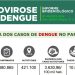 informe dengue - 11/06/2024