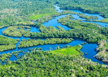 foto: Ciat/Neil Palmer