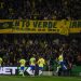 Torcida comemora com os jogadores o gol da vitória da seleção brasileira. Foto: Raphael Brauhardt/ FPF