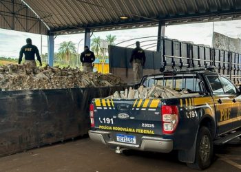 PRF/PR BATE RECORDE DE APREENSÃO DA DROGAS NO PARANÁ