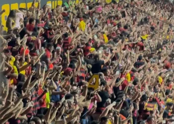 Torcida do Sport vibra com classificação do time
Creéditos: Divulgação / Sport