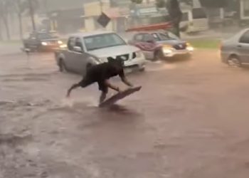 foto - Maringaense pega jacaré em alagamento que se formou após a chuva da tarde desta segunda-feira, 4