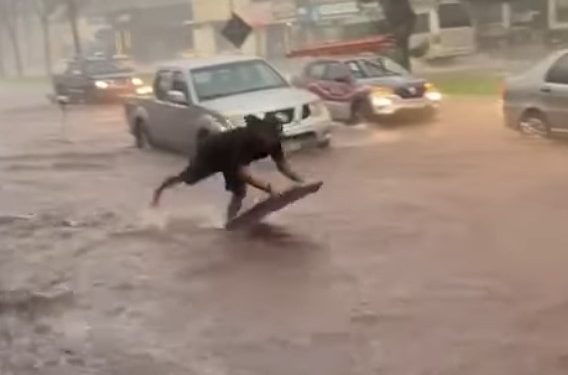 foto - Maringaense pega jacaré em alagamento que se formou após a chuva da tarde desta segunda-feira, 4