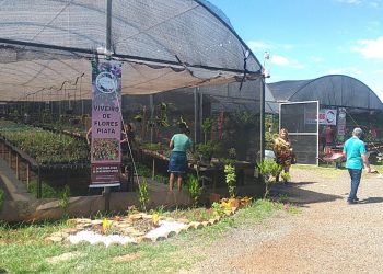 foto: Arquivo/O FATO MARINGA