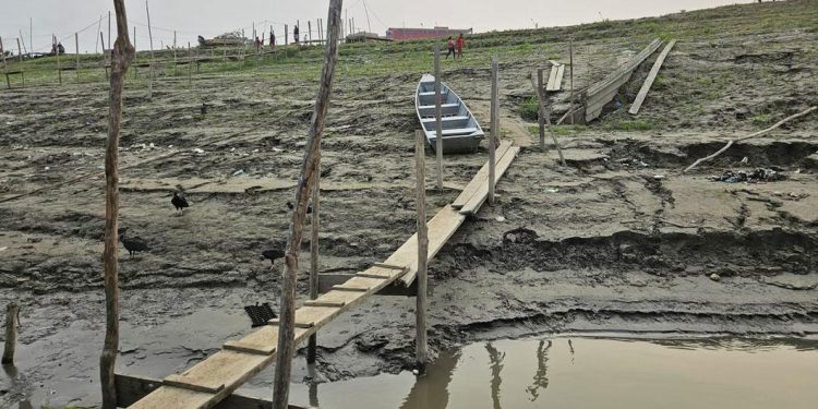 foto: Unicef/Paulo Diógenes