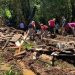 Corpo de Bombeiros encontra menina desaparecida em General Carneiro
Foto: Defesa Civil do Paraná