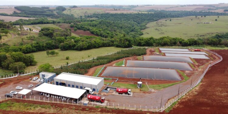 O governador Carlos Massa Ratinho Junior participa nesta quinta-feira (29) da inauguração da usina híbrida EnerDinBo, em Ouro Verde do Oeste. A geradora utilizará a luz do sol e dejetos da suinocultura para produzir energia elétrica. O investimento privado foi de R$ 12 milhões.

Ouro Verde do Oeste, 29/10/2020 - Foto: Geraldo Bubniak/AEN