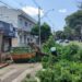 Na foto de OFATOMARINGA.COM, equipes da prefeitura realizando   remoções de árvores, galhos e podas na avenida Mandacaru neste domingo, 12.