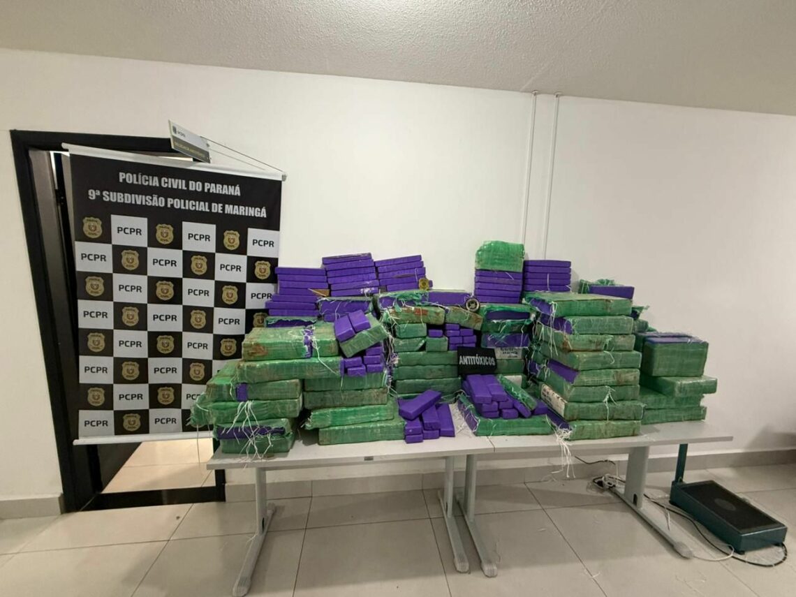 Polícia Civil apreende cerca de 470kg de maconha - foto ASC/PCPR