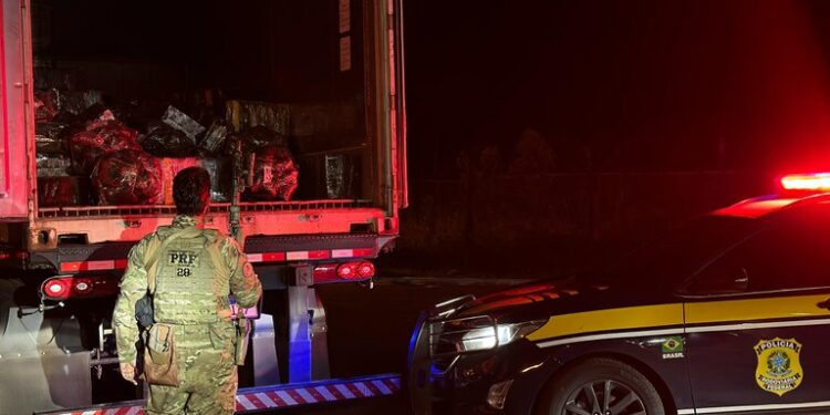 PRF APREENDE MAIS 5 MIL KG DE MACONHA EM GUARAPUAVA - FOTO - ASC/PRF